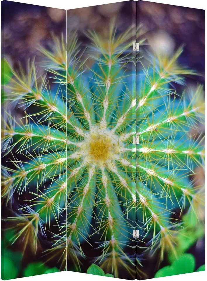 Paravan - Cactus (126x170 cm)