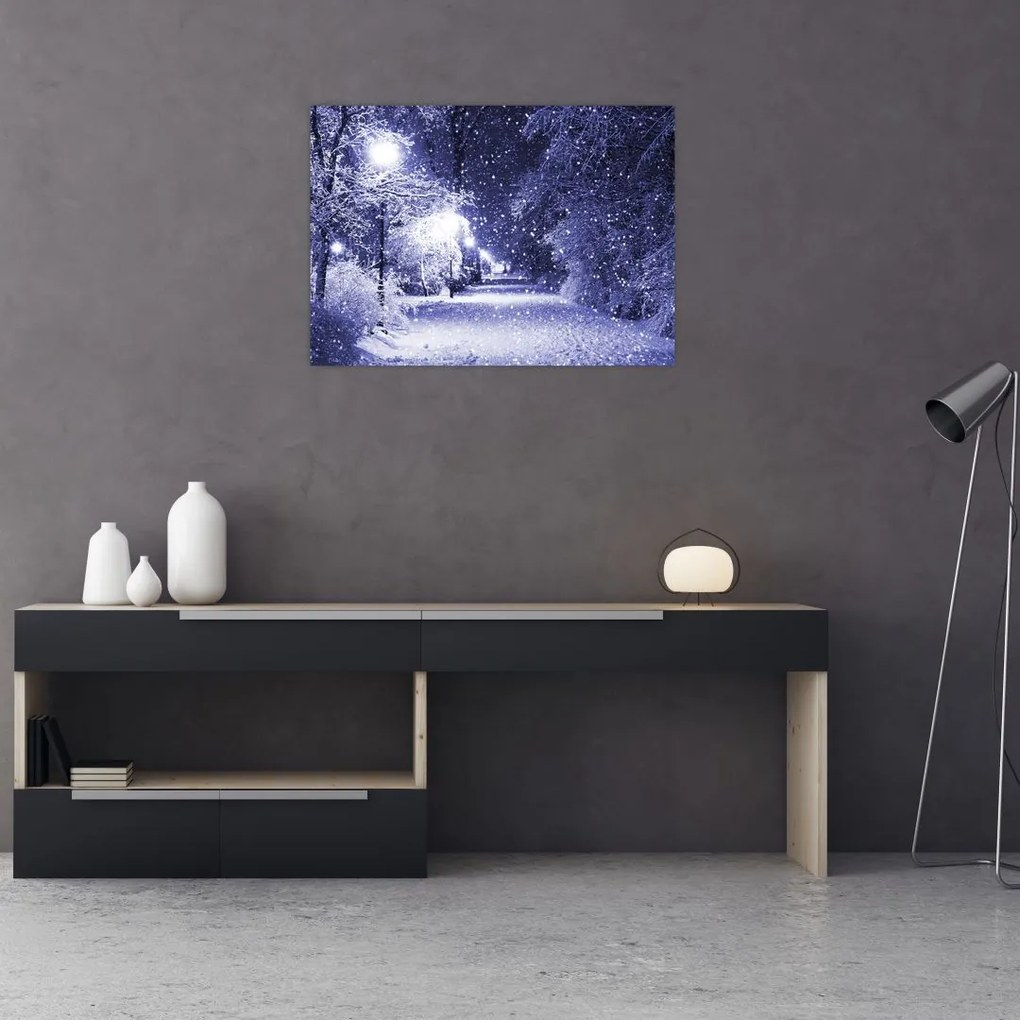 Tablou pe sticlă - Noaptea magică de iarnă (70x50 cm)