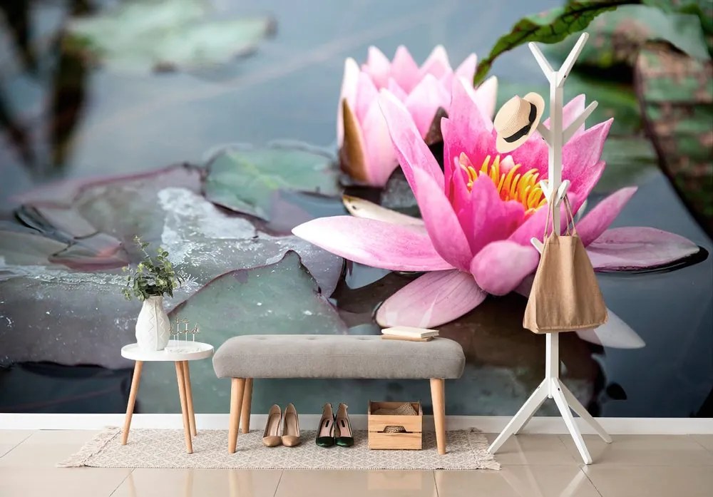 Fototapet floare roz de lotus