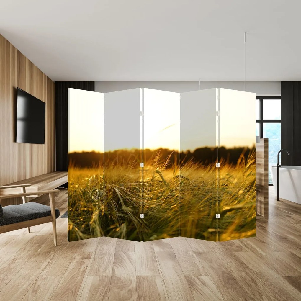 Paravan Iarba cu rouă (210x170 cm)