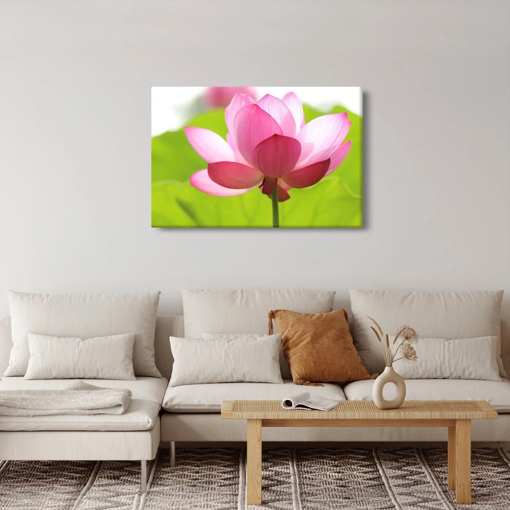 Tablou cu flori de lotus (90x60 cm)