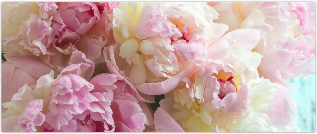 Tablou - Bujori (120x50 cm)