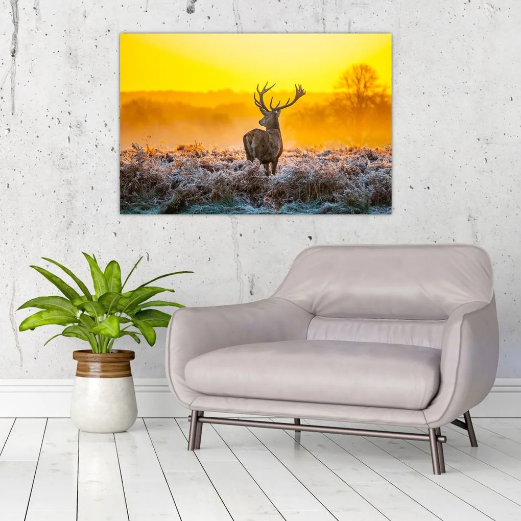 Tablou - Cerb la răsăritul soarelui (90x60 cm)