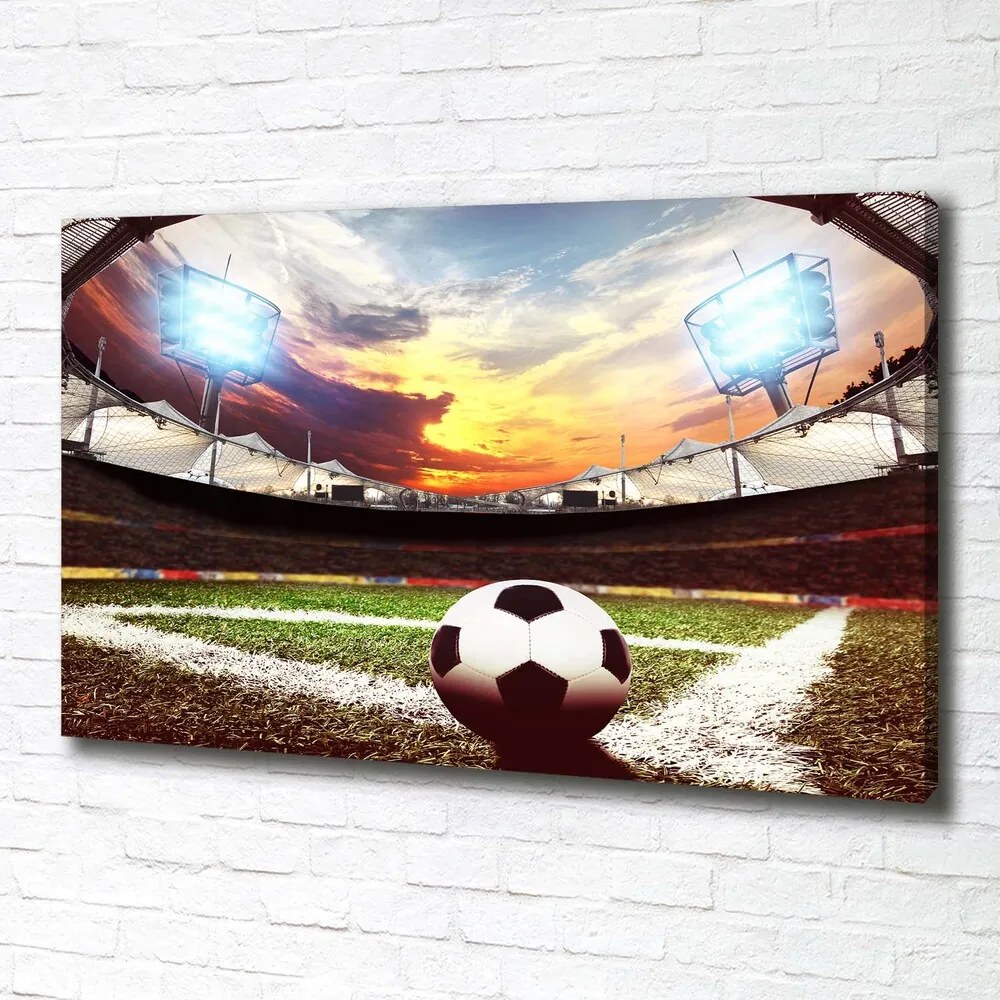 Pictură pe pânză Stadion de fotbal