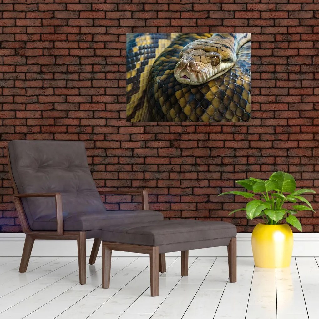 Tablou pe sticlă - Piton (70x50 cm)
