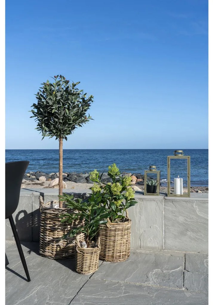 Skimmia fa műnövény, zöld 75 cm