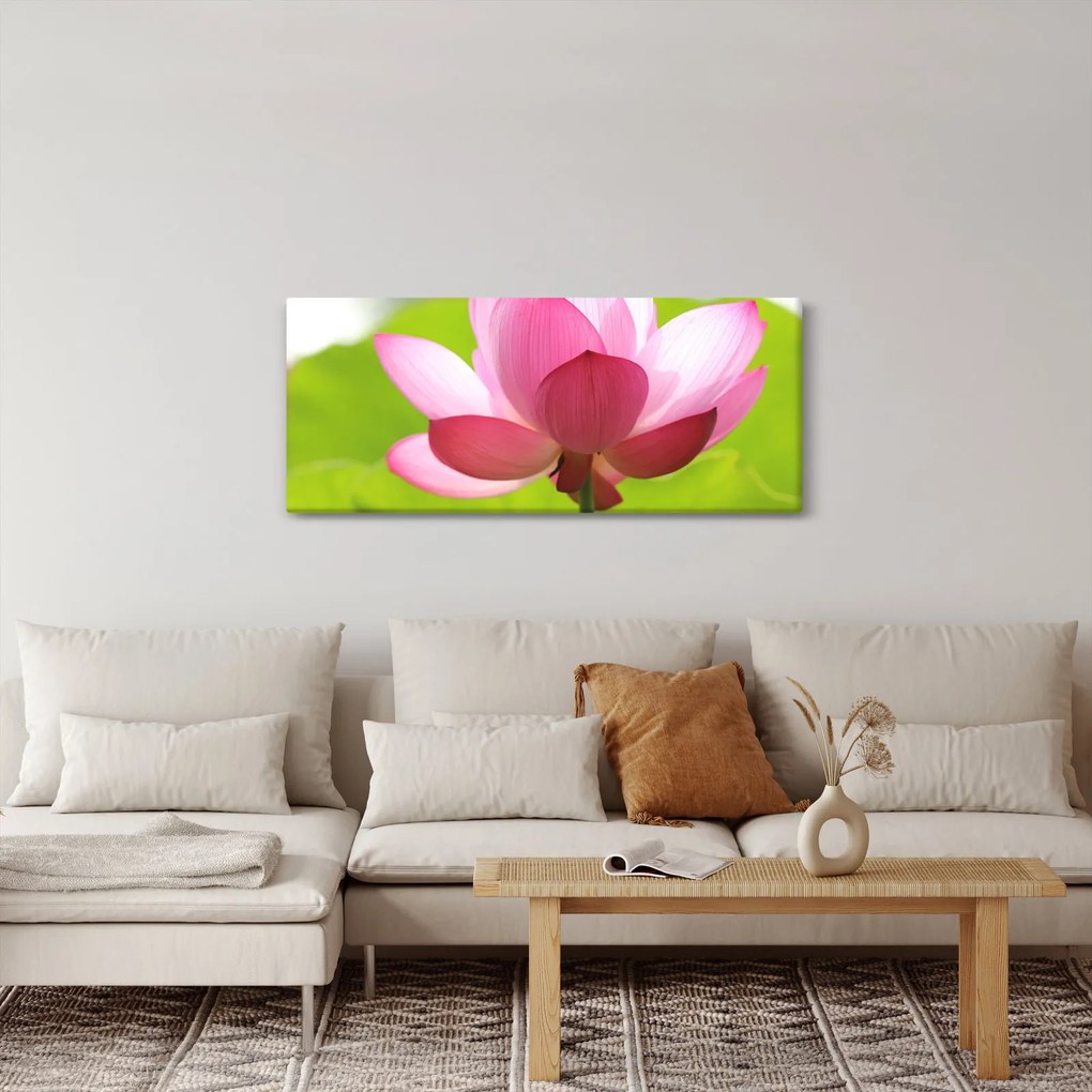 Tablou cu flori de lotus (120x50 cm)