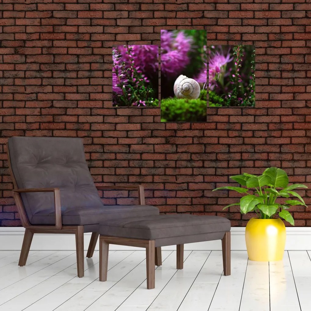 Tablou - Cochilie de melc (90x60 cm)