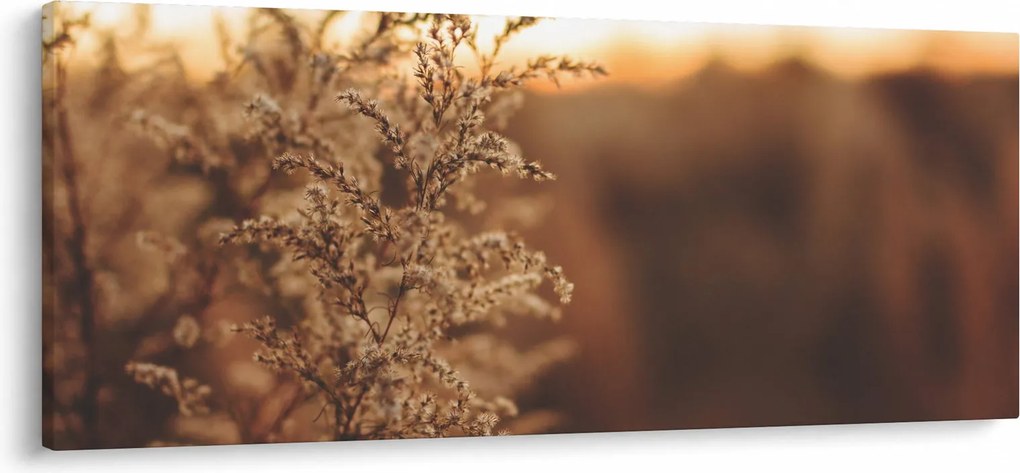 Tablou - Iarba înflorită (120x50 cm)