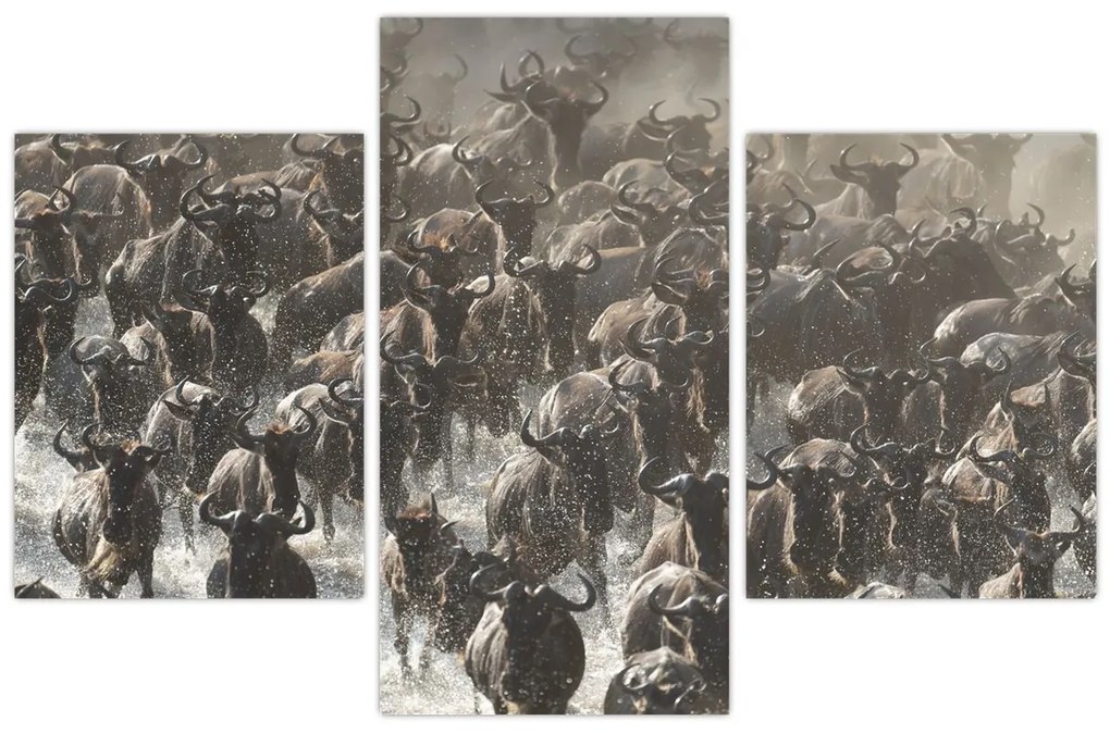 Tablou - Turmă de antilope sălbatice (90x60 cm)