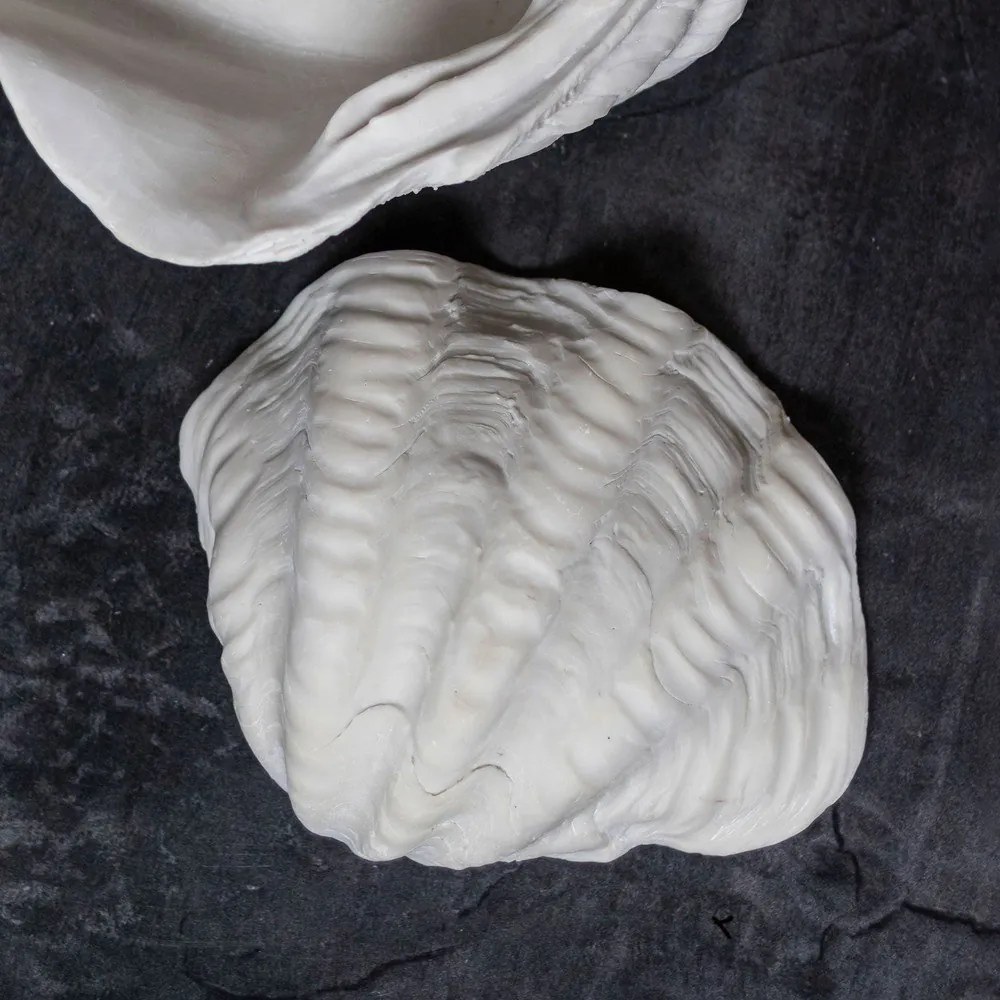 Bol decorativ din polirășină 24x19 cm Shell – Mette Ditmer Denmark
