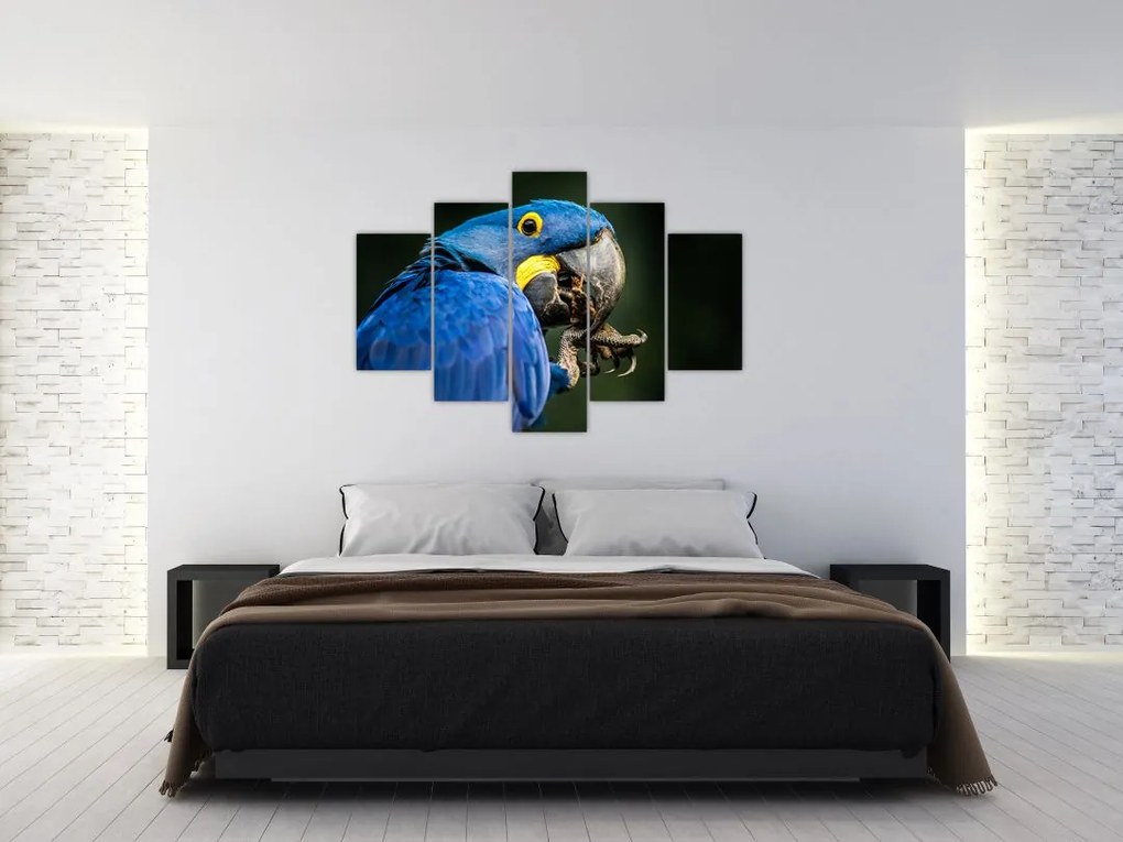 Tablou cu papagal (150x105 cm)