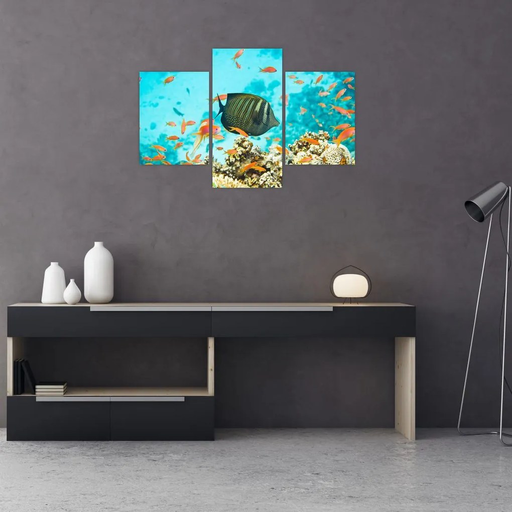 Tablou lumii submarine (90x60 cm)