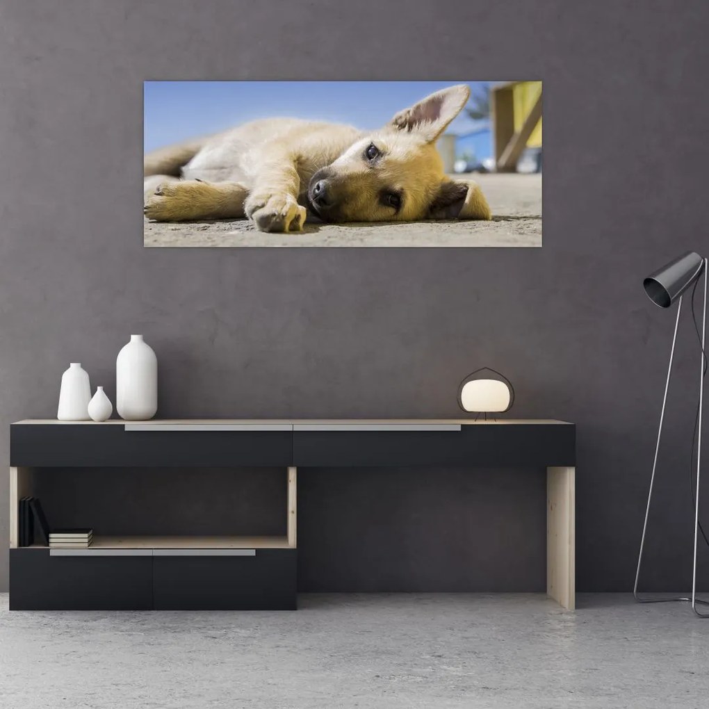 Tablou cu cățeluș dormind (120x50 cm)