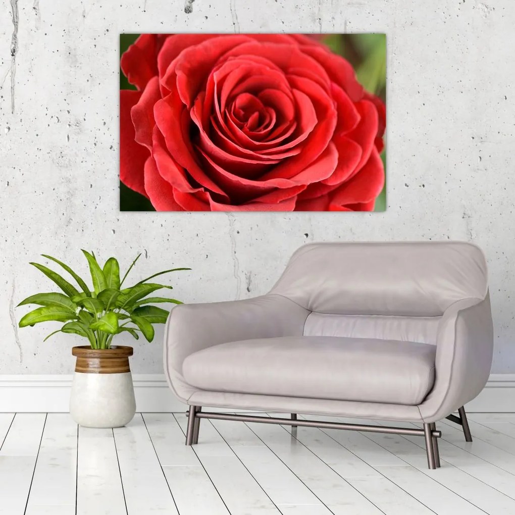 Tablou - Flori de trandafir (90x60 cm)