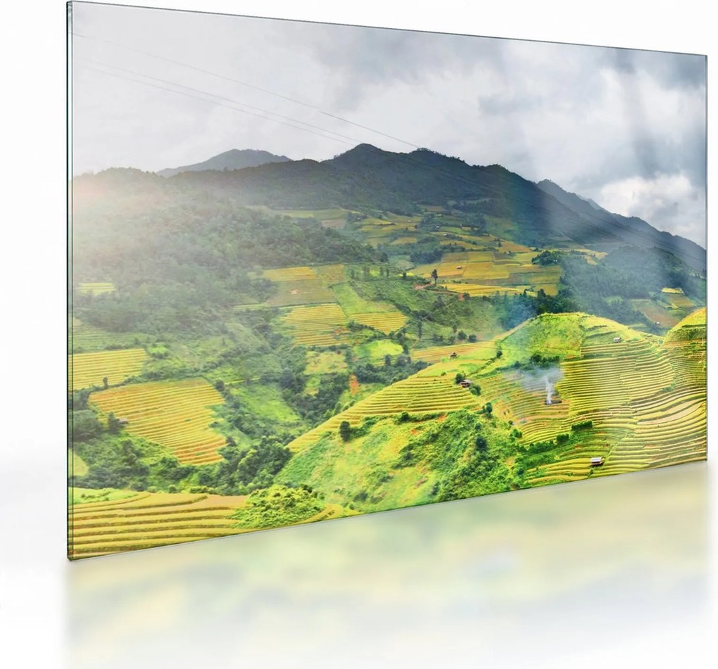 Tablou pe sticlă plantație (70x50 cm)