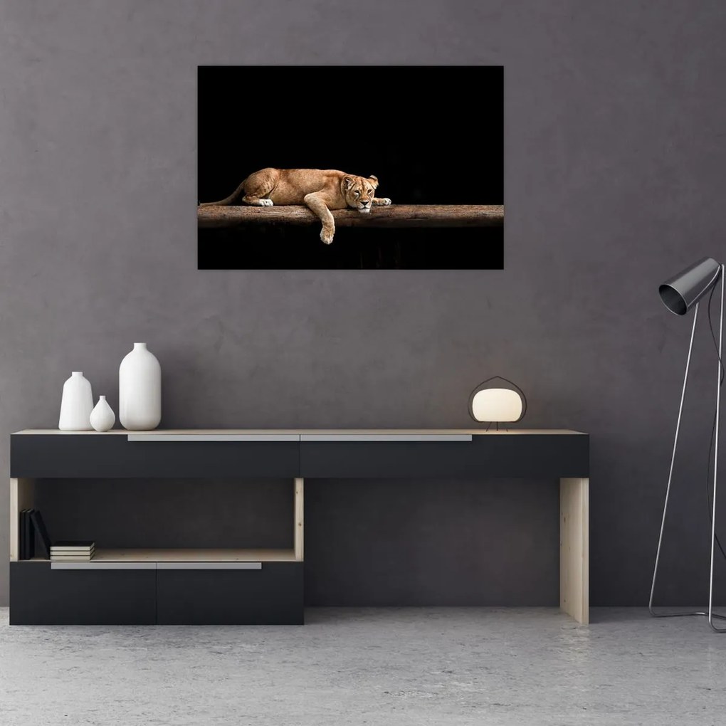 Tablou - Lioness (90x60 cm)