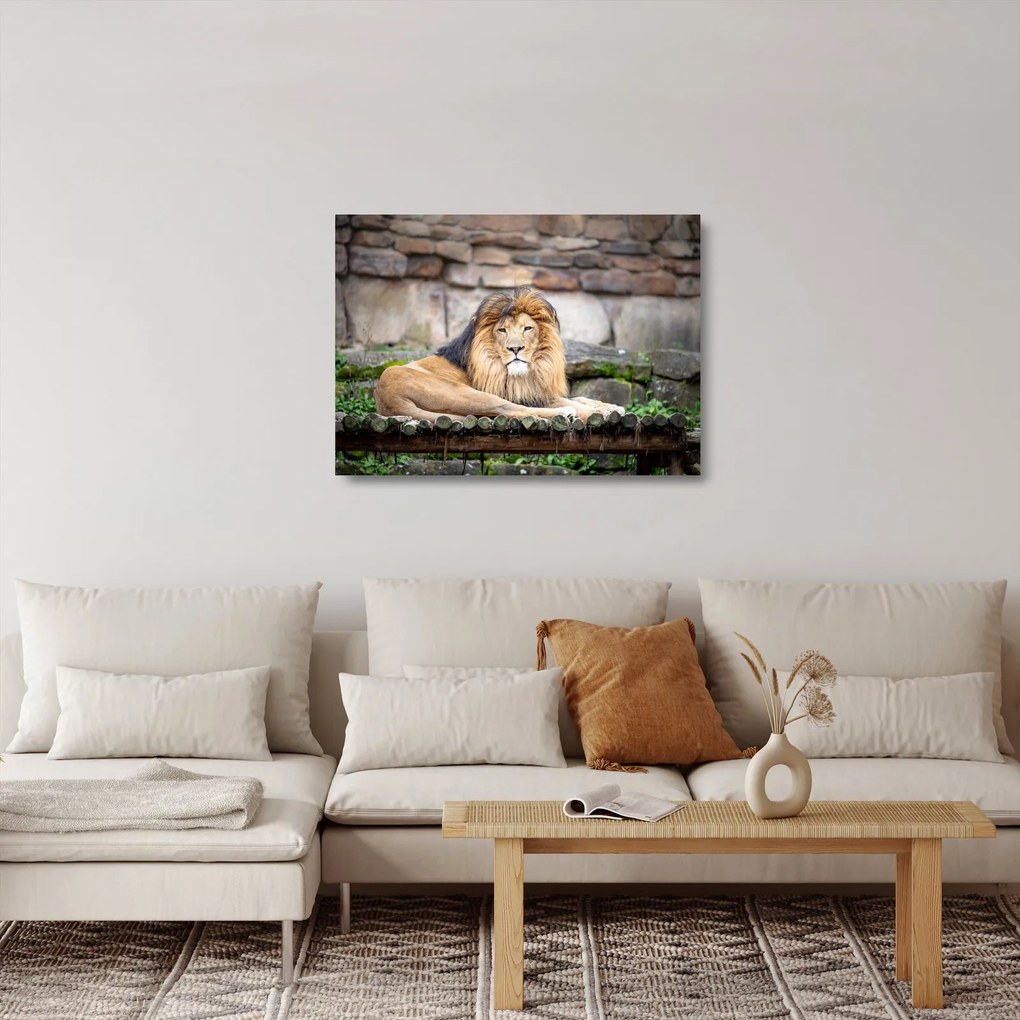 Tablou pe sticlă cu leu (70x50 cm)