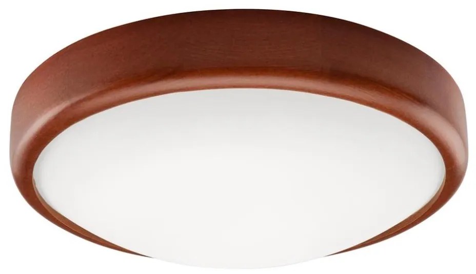 LED Plafonieră 1xLED/12W/230V