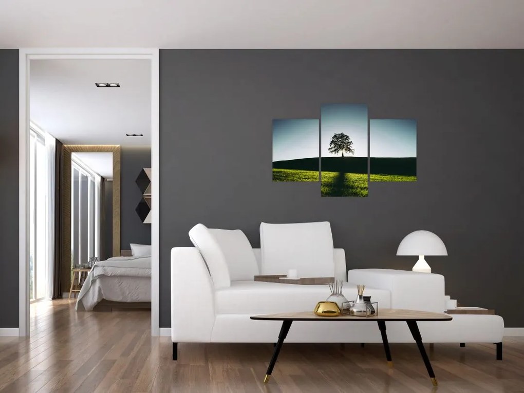 Tablou cu natura - copac (90x60 cm)
