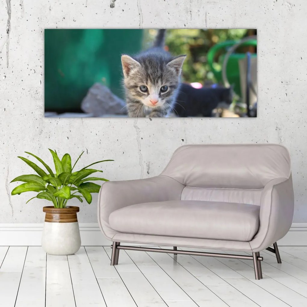 Tablou cu pisicuțe (120x50 cm)