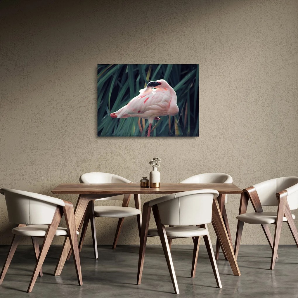 Tablou pe sticlă - Pasărea Flamengo (70x50 cm)