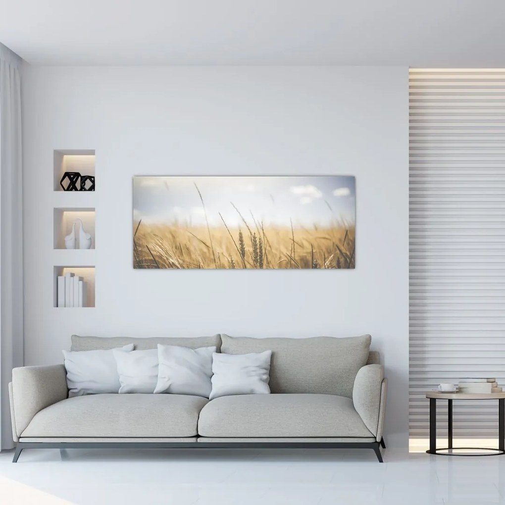 Tablou cu grâne (120x50 cm)