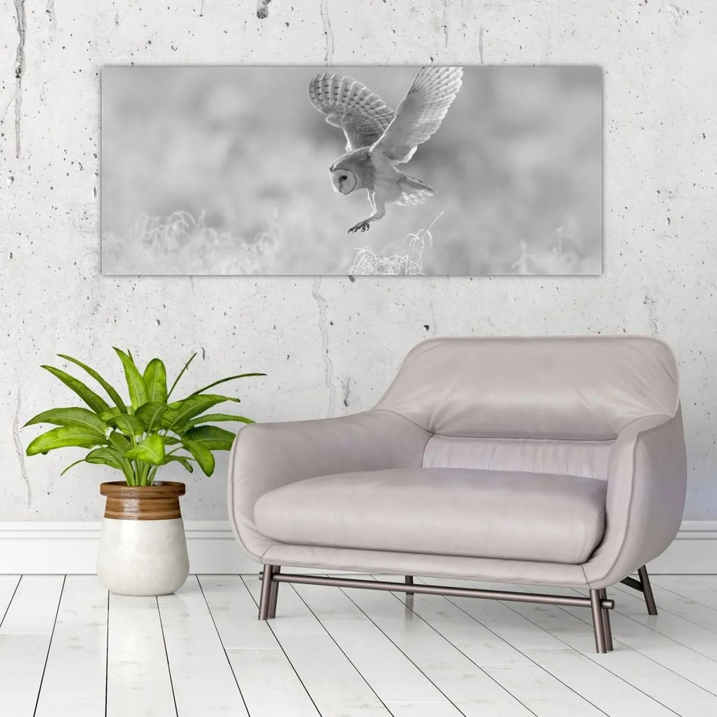 Tablou - Bufniță,alb-negru (120x50 cm)