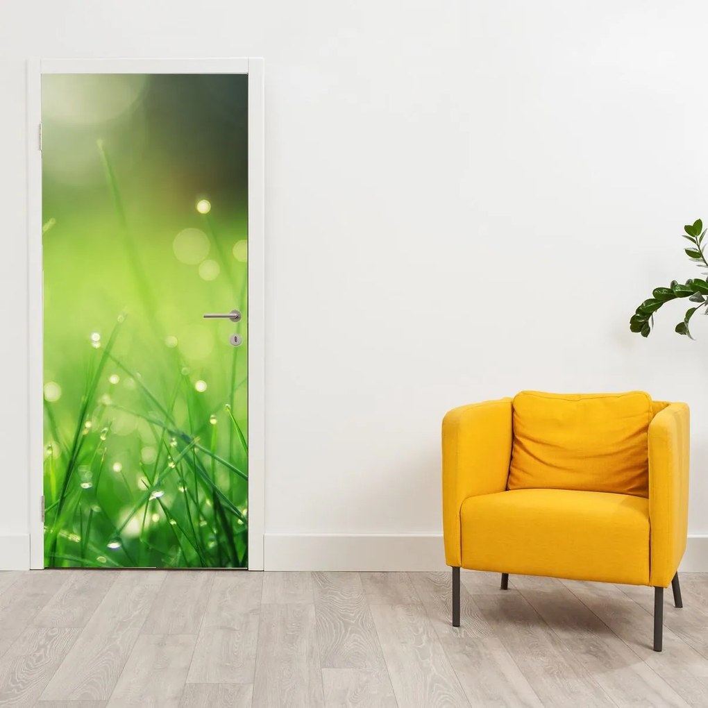 Fototapet pentru ușă - Rouă pe iarbă (95x205cm)