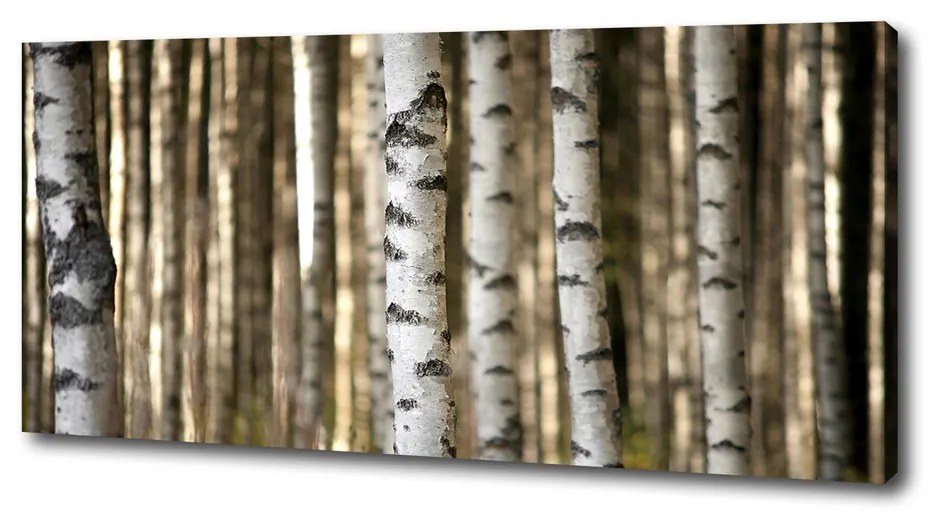 Print pe canvas Mesteceni
