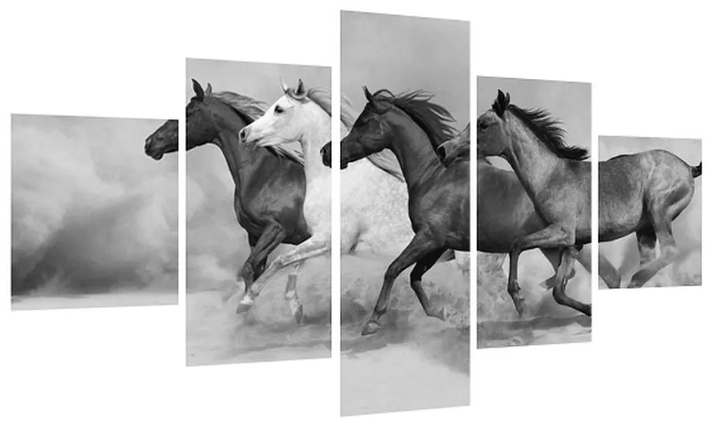 Tablou alb negru cu cai (125x70 cm), în 40 de alte dimensiuni noi