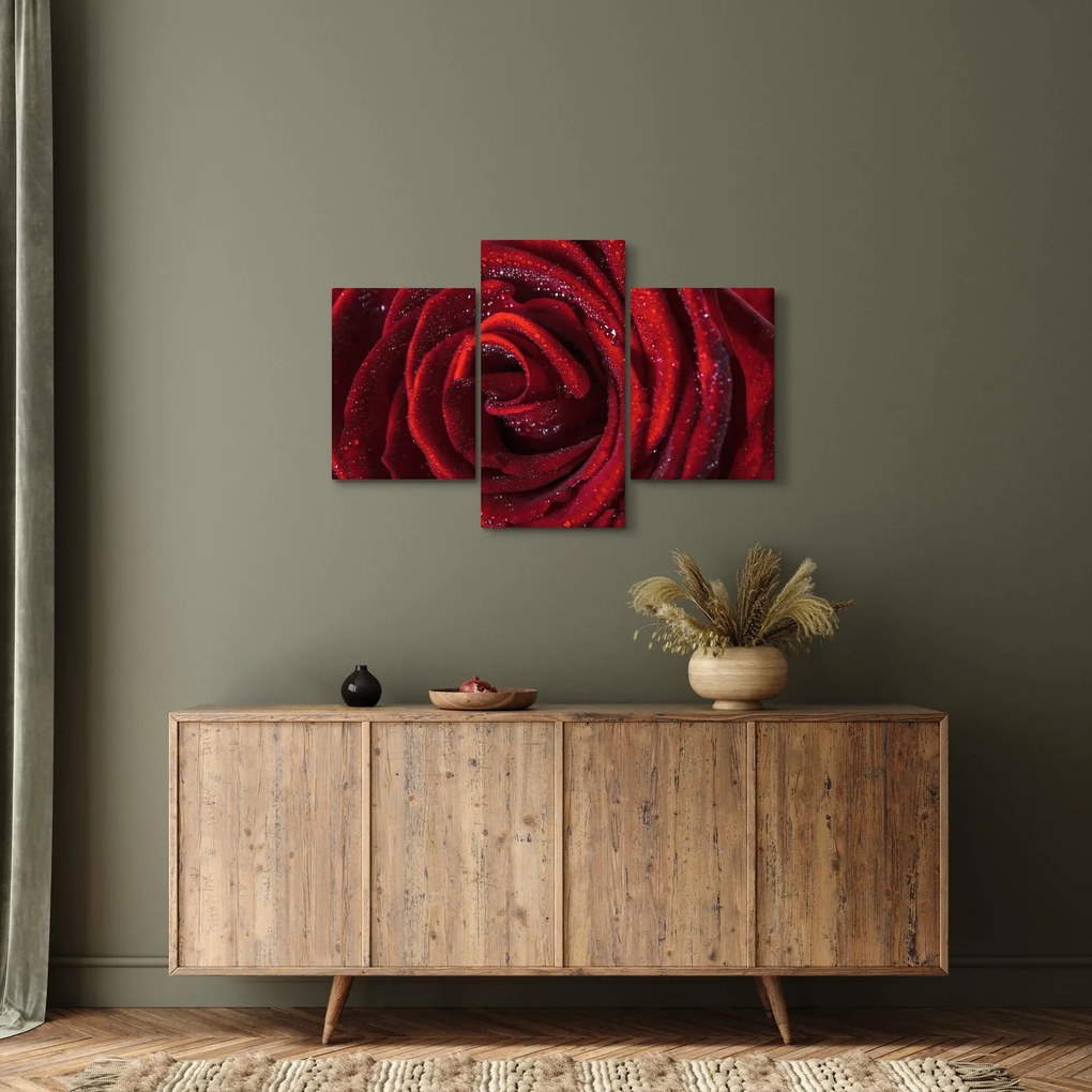 Tablou - Trandafir roșu cu picături de rouă (90x60 cm)