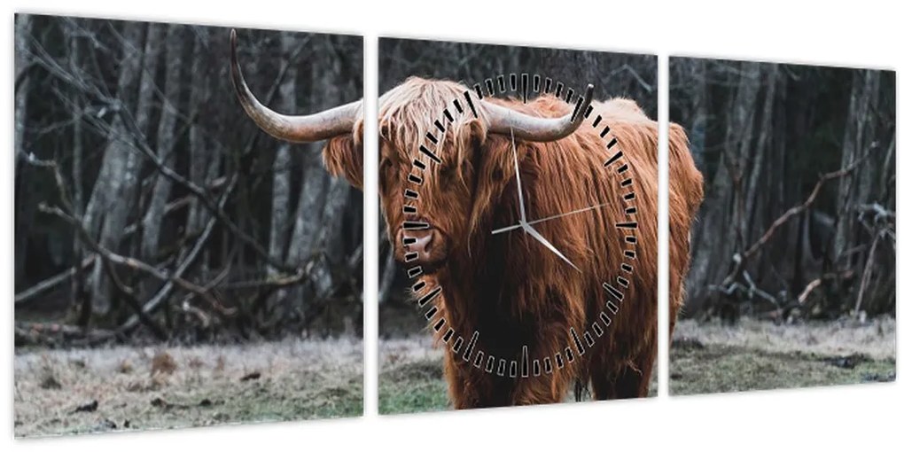 Tablou - Vacă scoțiană 2 (cu ceas) (90x30 cm)