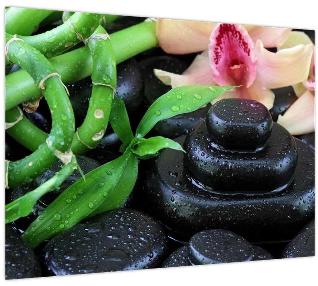 Tablou - Pietre și orhidee (70x50 cm)