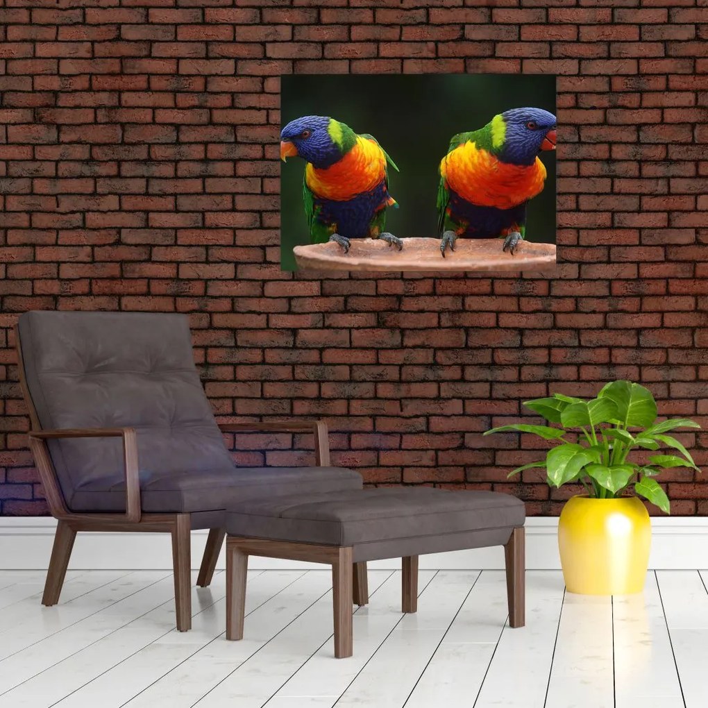 Tablou cu papagali (70x50 cm)