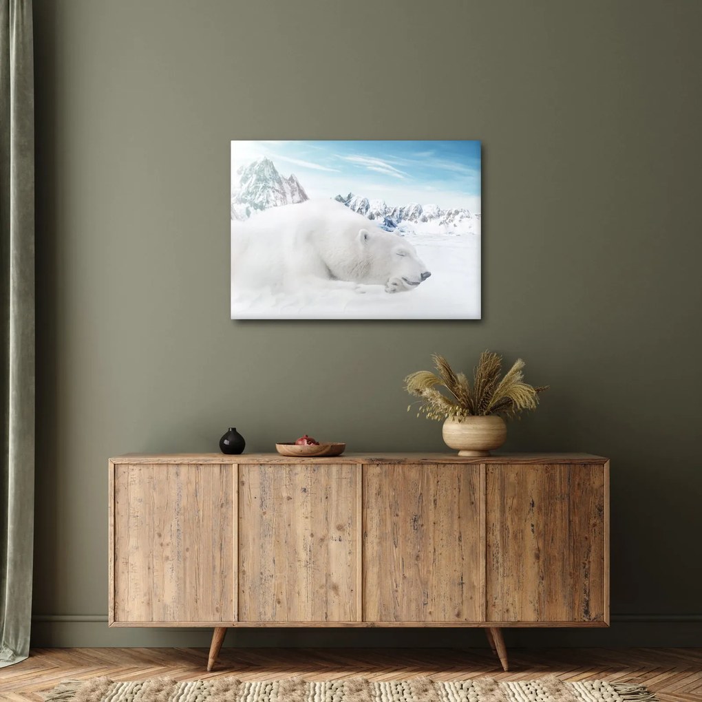 Tablou - Urs polar (70x50 cm)