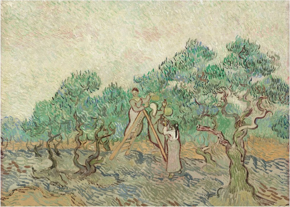 Tablou pe sticlă - Vincent van Gogh, The Olive Orchard, reproducere (70x50 cm)