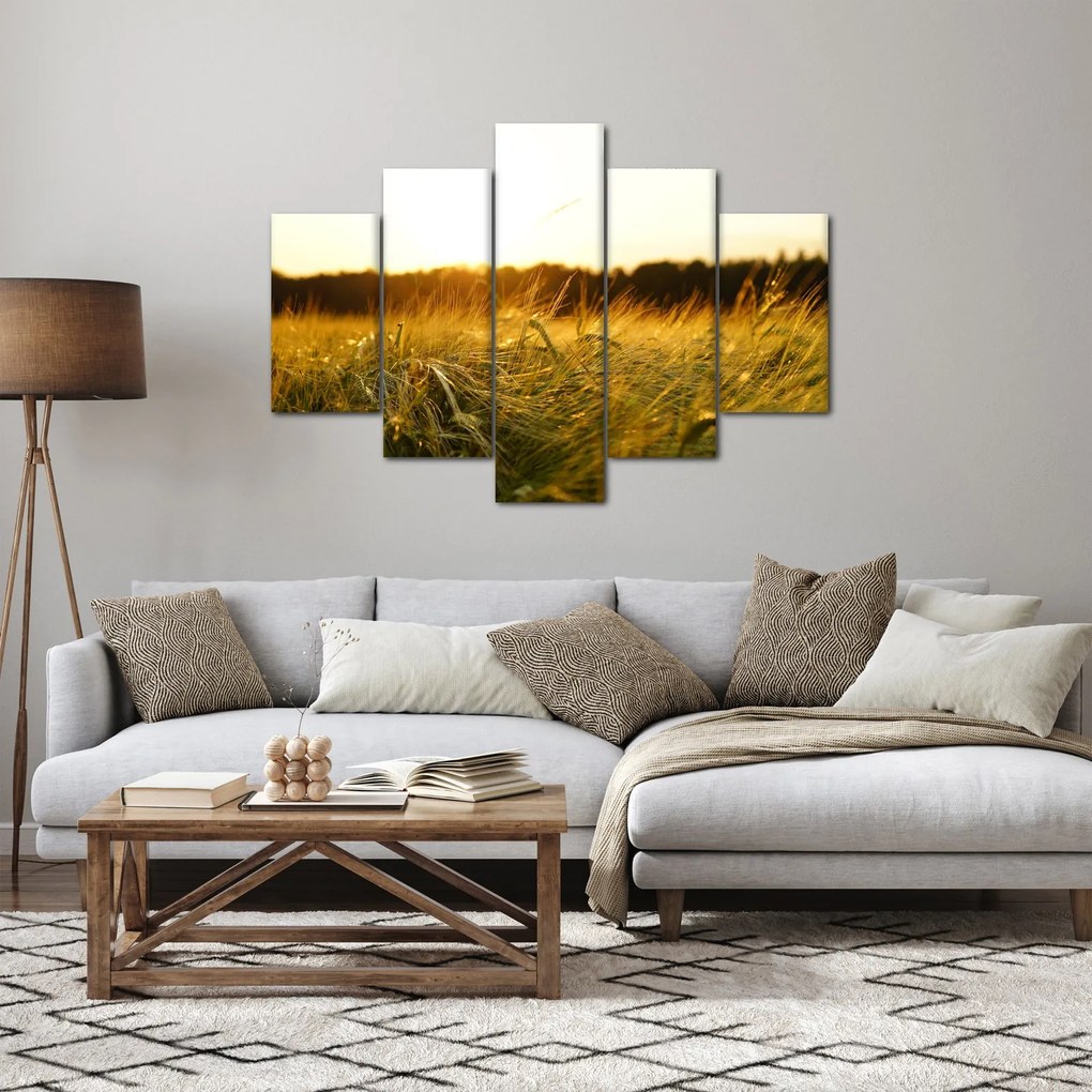 Tablou iarba cu rouă (150x105 cm)