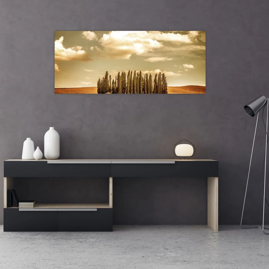 Tablou cu luncă (120x50 cm)