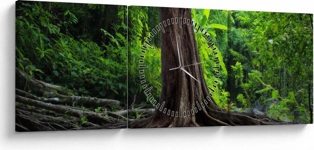 Tablou - Copac bătrîn cu rădăcini (cu ceas) (90x30 cm)