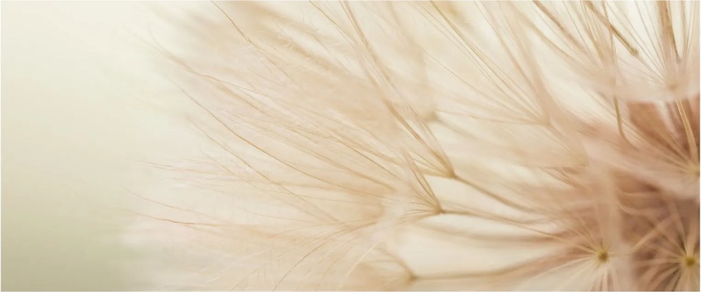 Tablou - Detaliu flori (120x50 cm)