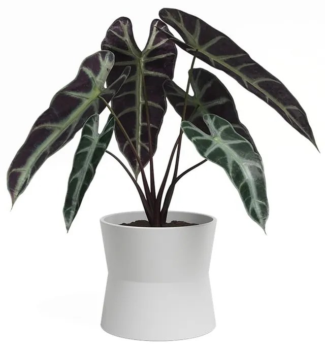 Ghiveci din ceramică ø 20 cm Diana – Artevasi