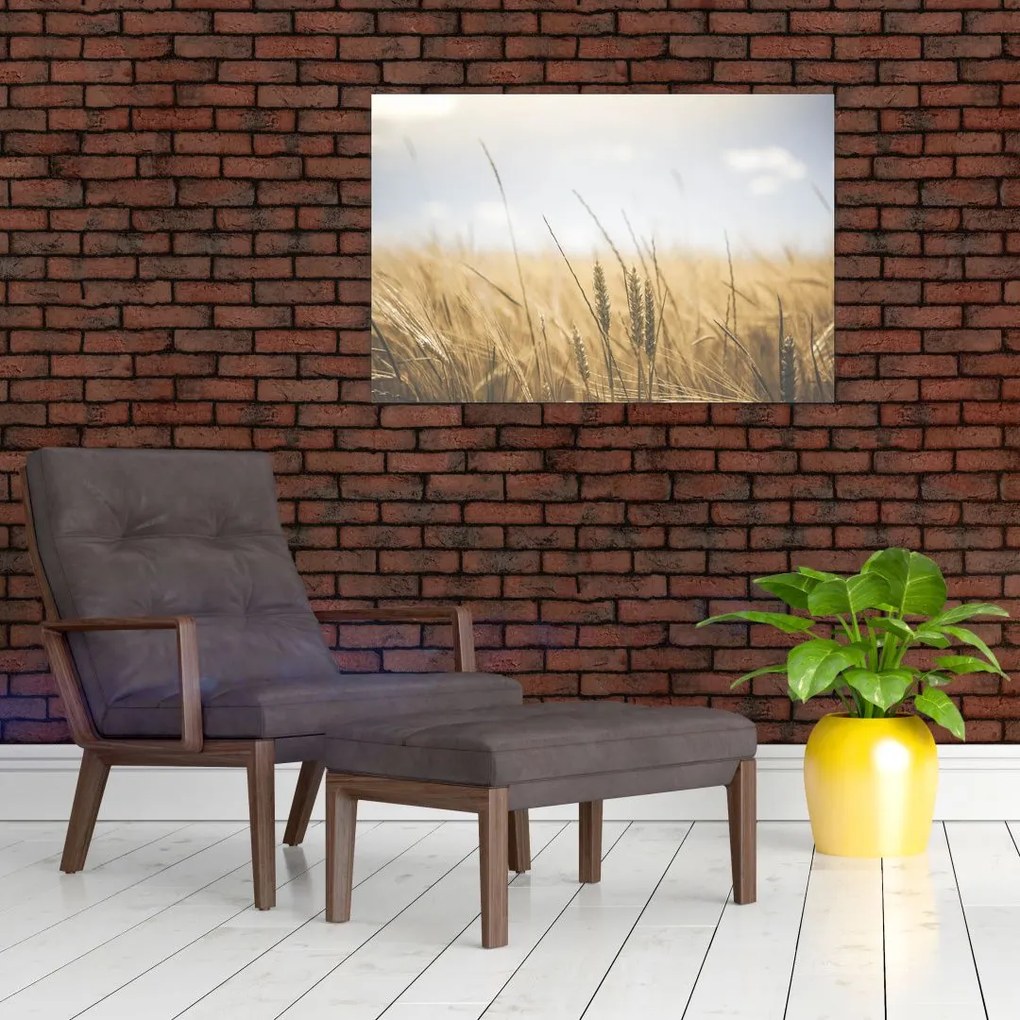Tablou cu grâne (90x60 cm)