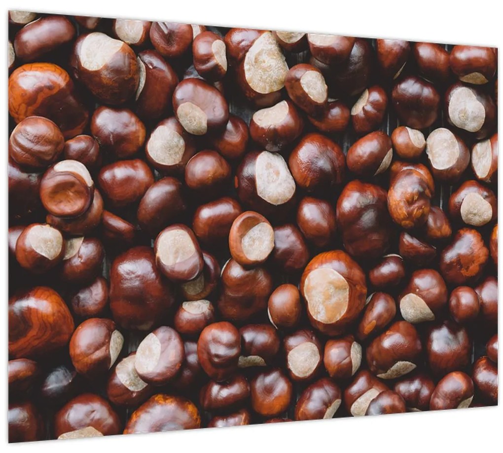 Tablou - Castane coapte (70x50 cm)