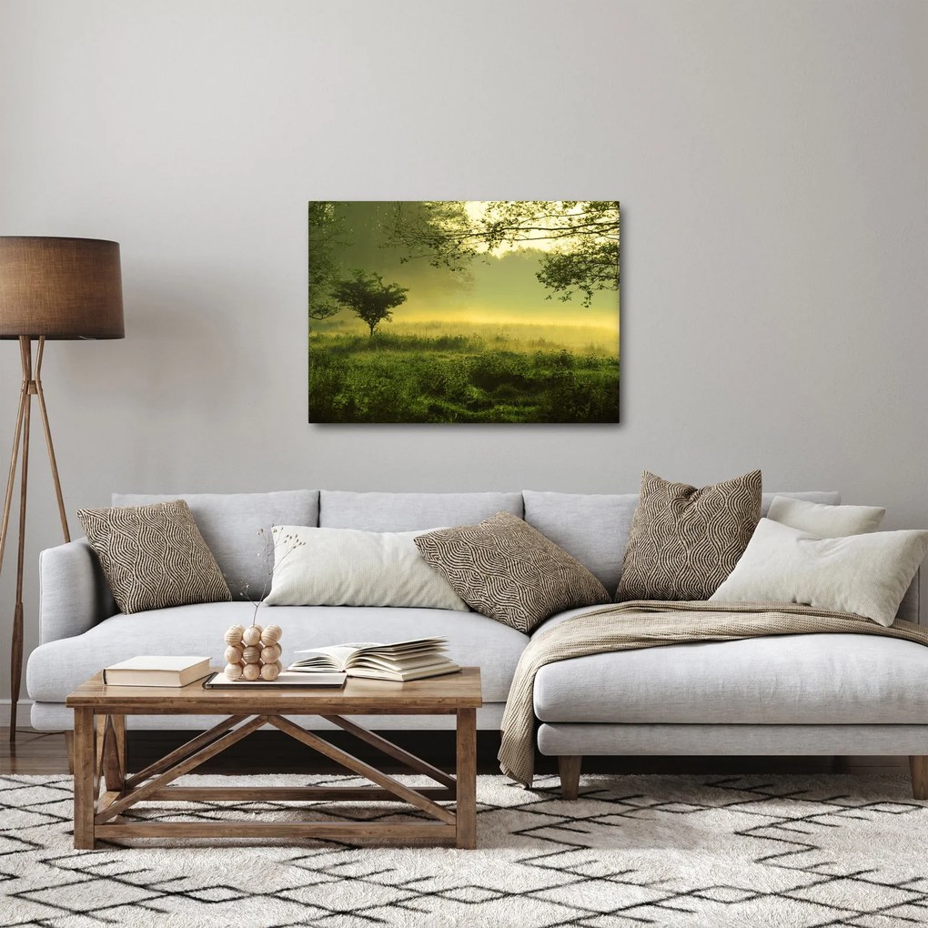 Tablou - Pădurea trezită (70x50 cm)