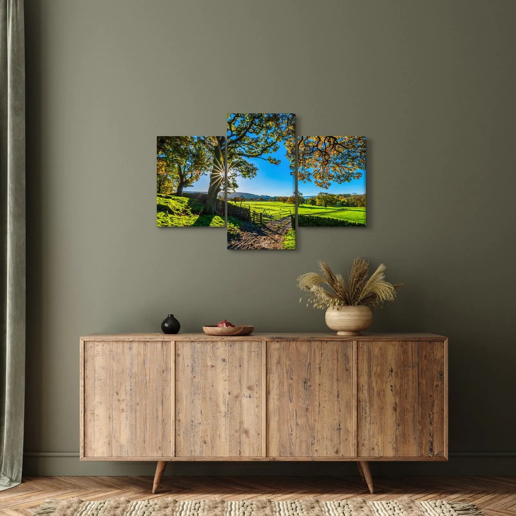Tablou Privire la câmp (90x60 cm)