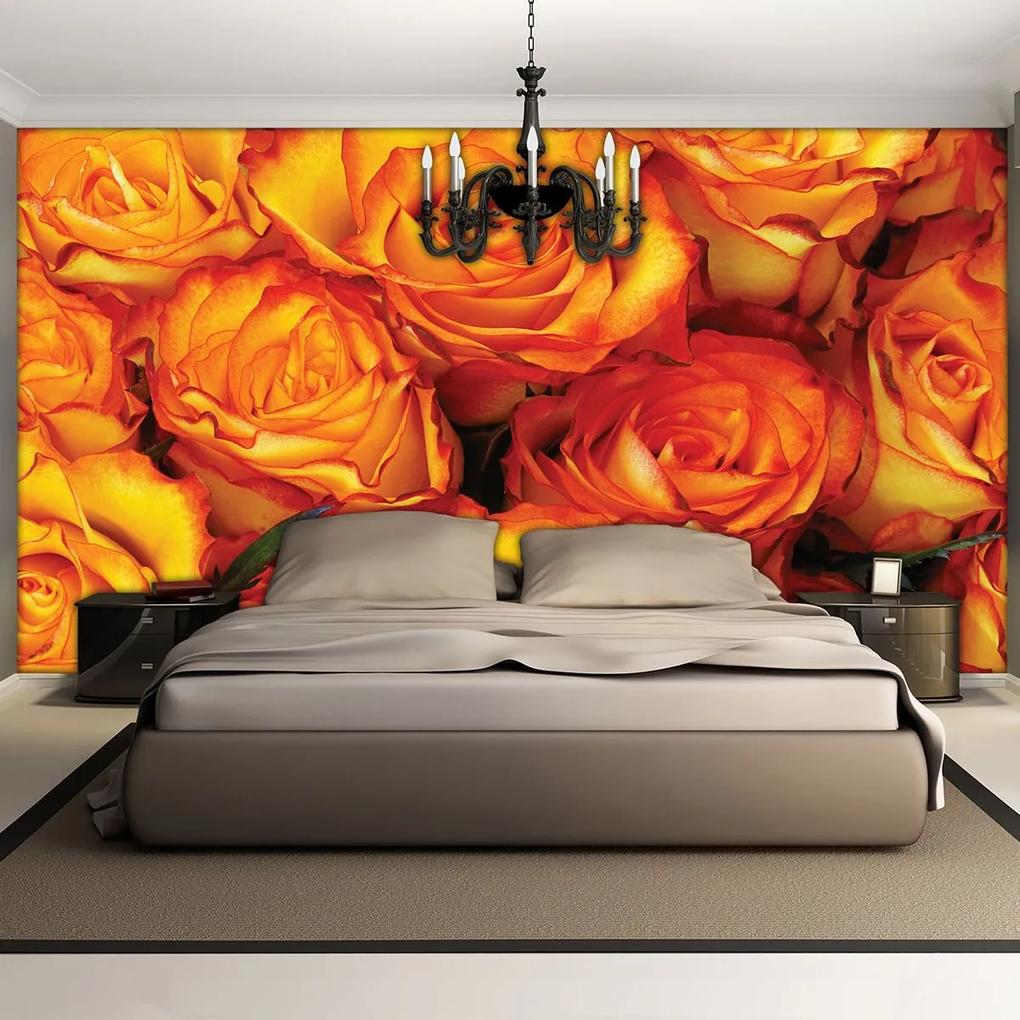 Fototapet - Trandafiri (152,5x104 cm), în 8 de alte dimensiuni noi