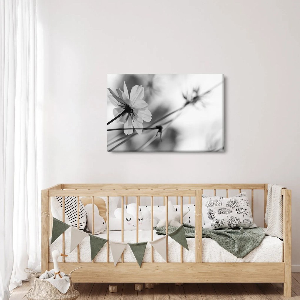 Tablou - Flori alb-negru (90x60 cm)