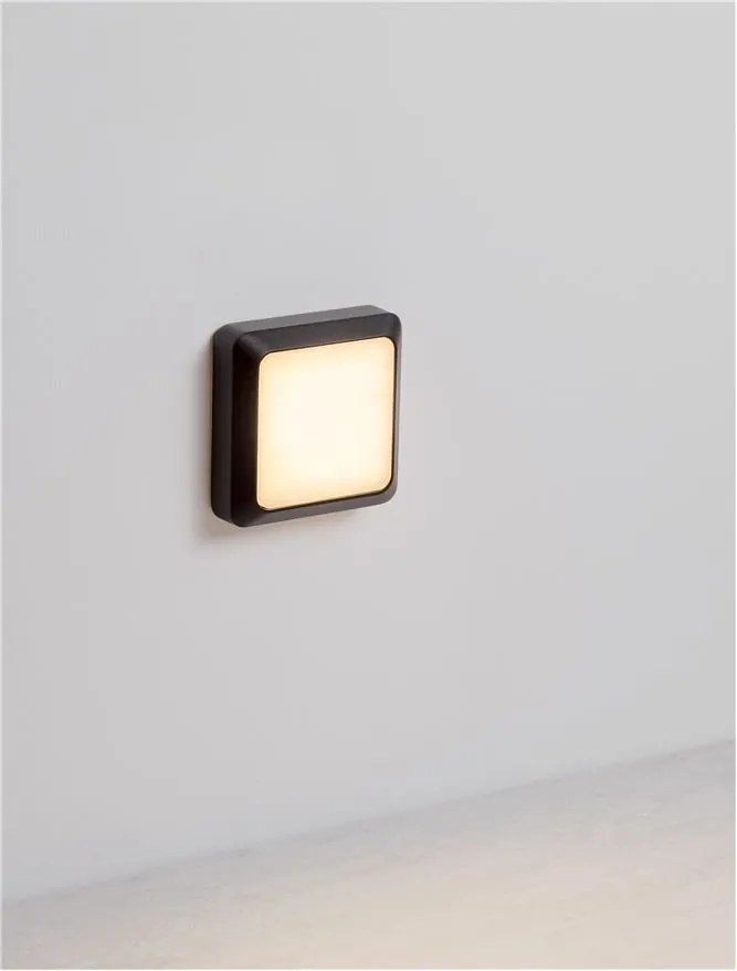 Aplica de perete LED pentru iluminat exterior IP54 APPIA