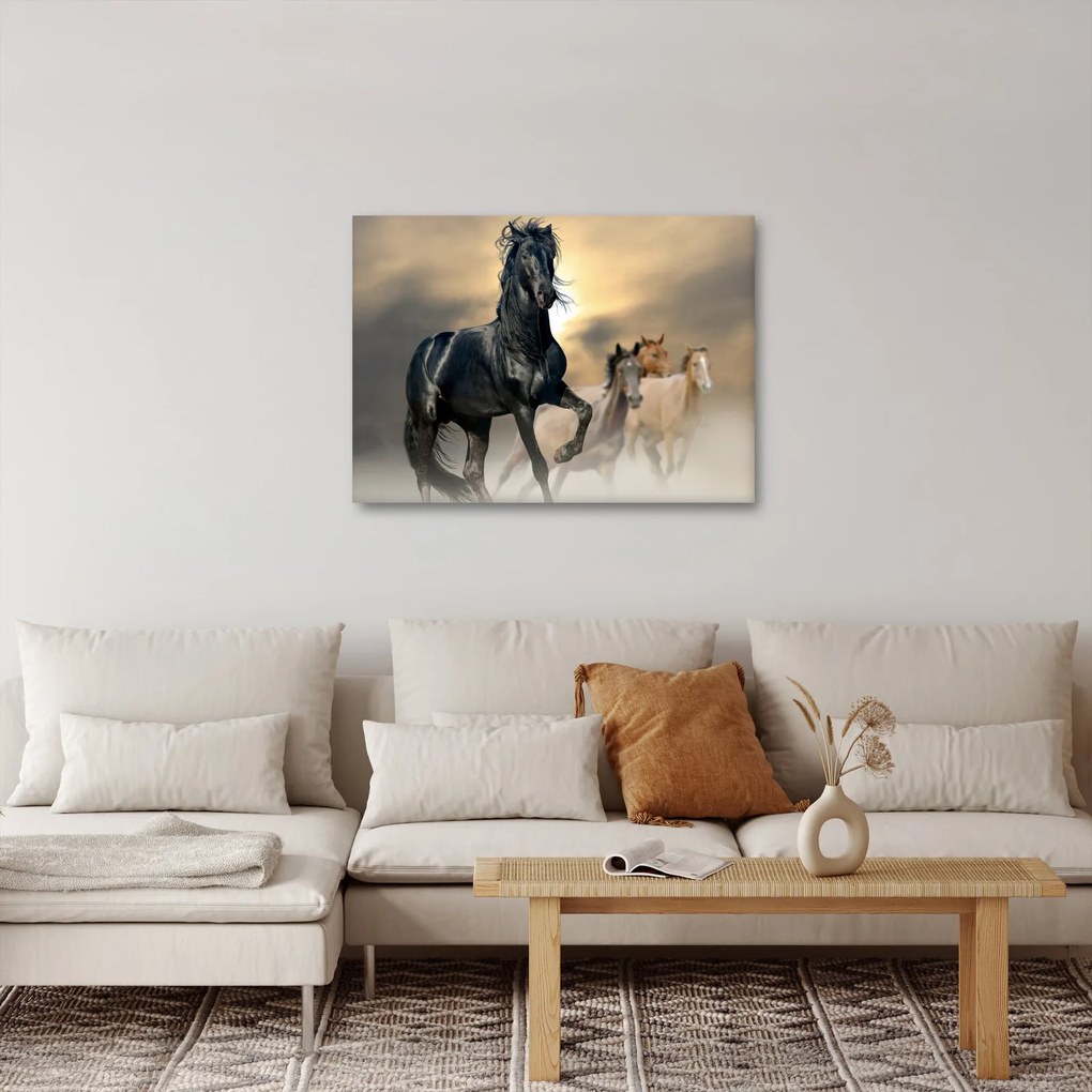 Tablou - Cai (70x50 cm)